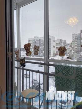 1-к квартира, вторичка, 41м2, 4/10 этаж