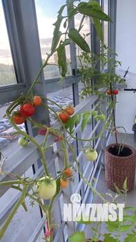 2-к квартира, вторичка, 72м2, 3/17 этаж