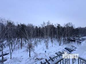 3-к квартира, вторичка, 59м2, 5/5 этаж