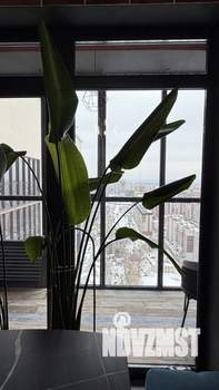 1-к квартира, сданный дом, 39м2, 25/25 этаж