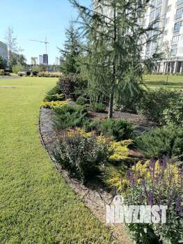 Студия квартира, вторичка, 21м2, 4/17 этаж