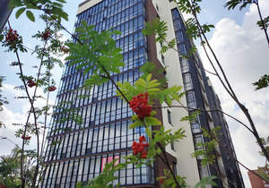 1-к квартира, вторичка, 26м2, 11/11 этаж