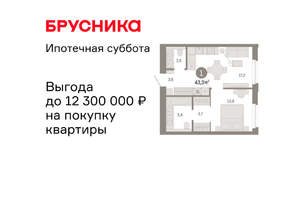 1-к квартира, вторичка, 43м2, 7/24 этаж