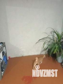 1-к квартира, вторичка, 31м2, 1/5 этаж