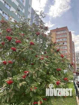 1-к квартира, вторичка, 42м2, 5/10 этаж
