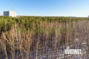 Студия квартира, вторичка, 274м2, 11/11 этаж